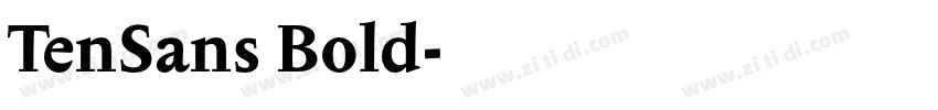 TenSans Bold字体转换